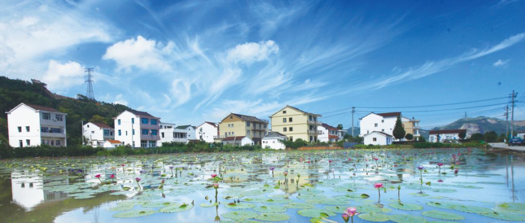 台州三门赶海民宿,三门民宿推荐浙江