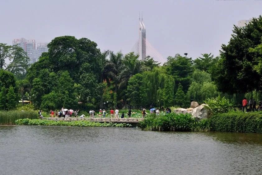 广州免费公园景点大全,广州免费公园排名