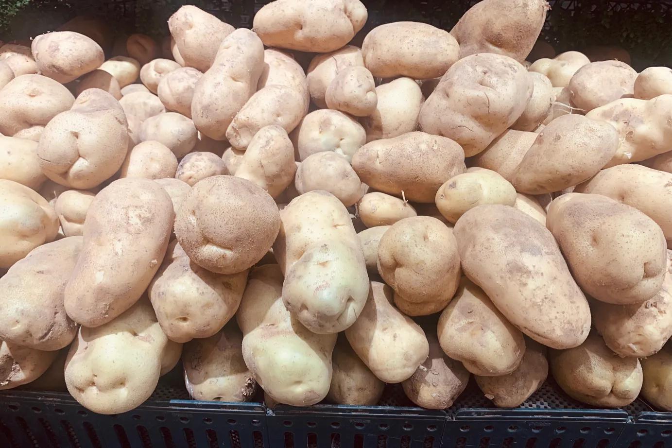 夏天土豆怎么保存不发芽不变绿,土豆削皮后真空包装可以保存多久