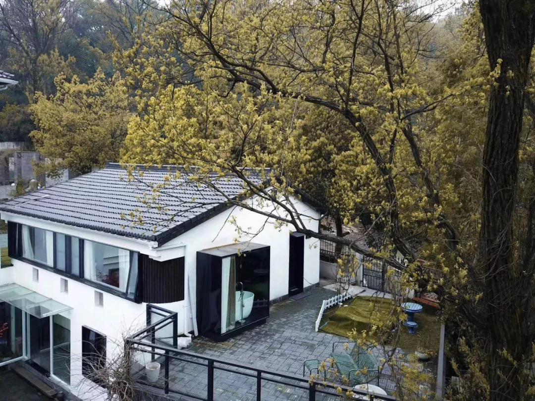 眺云海秘境、西子春晓，每一家都是旅行艺术，带你躺入春天~