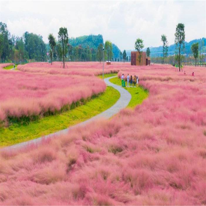 安顺旅游景点十里荷廊晚上演出,安顺山里江南灯会
