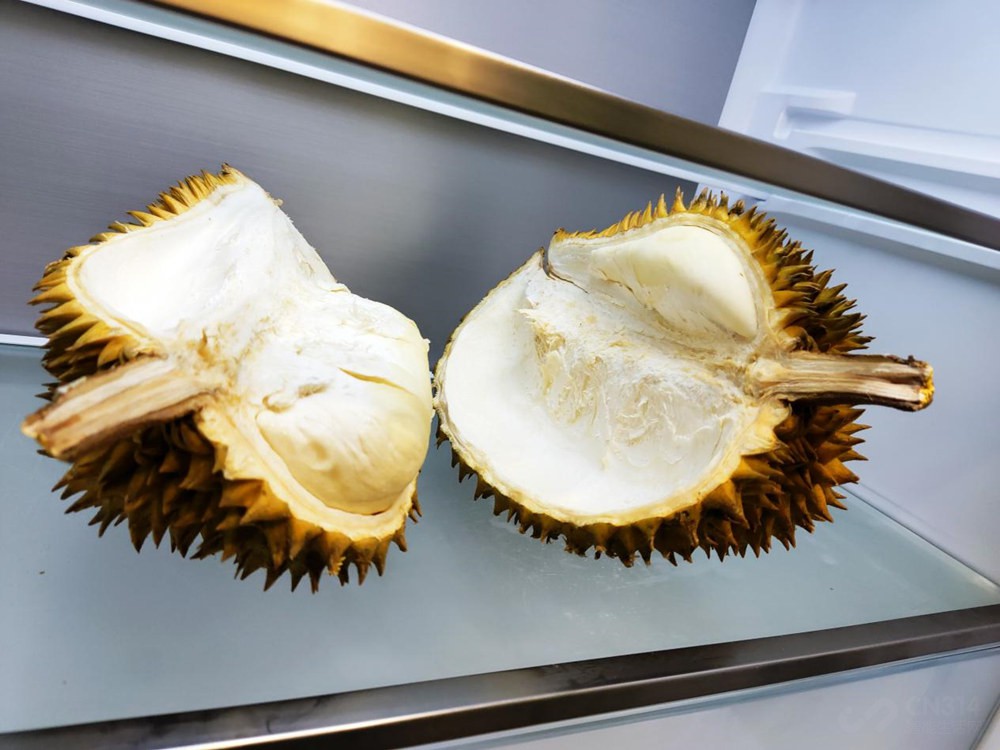 媳妇不再反对我把榴莲带回家,这一切得归功于美的507升冰箱