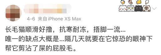 小猫咪为啥乱拉屎,有些小猫咪表面挺正常