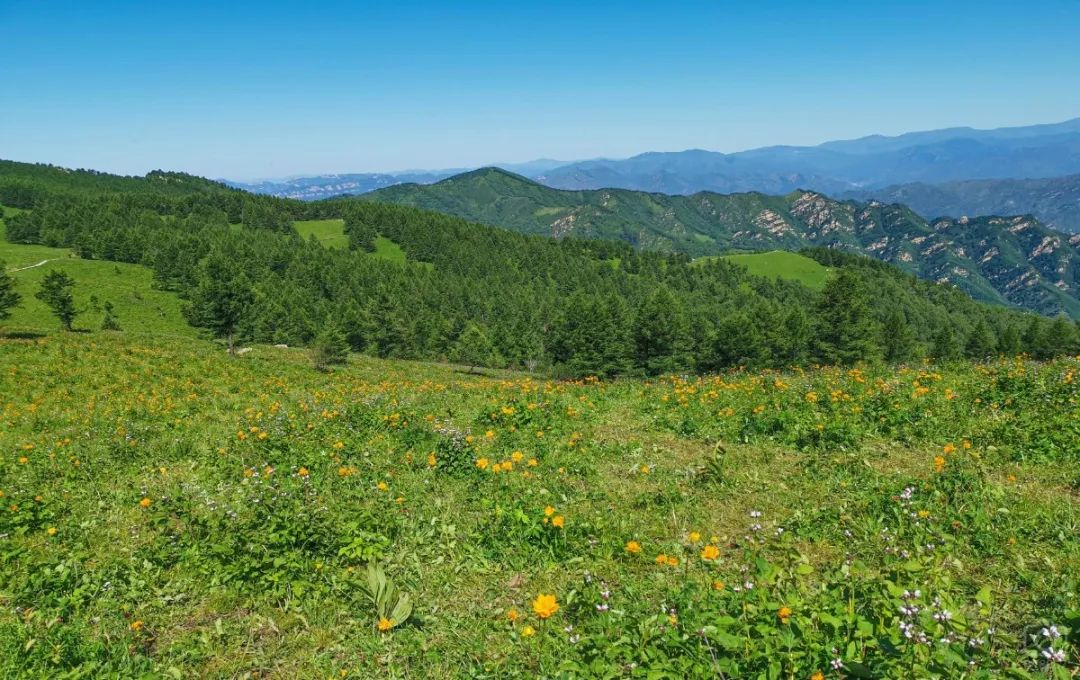徒步穿越北驼梁完整版,穿越花海古道游记