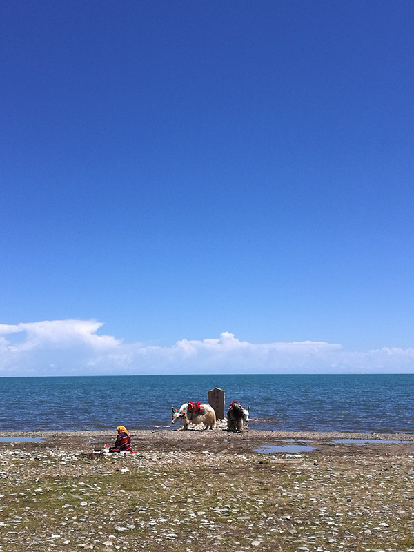 八千里路云和月风景,自驾看世界八千里路云和月滇之旅