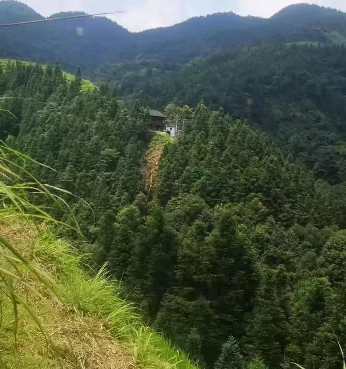 网红乞丐哥已获刑,400万粉丝的网红乞丐哥视频