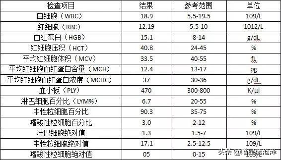 小心！您的猫距离下泌尿道综合征可能只隔一碗水的距离