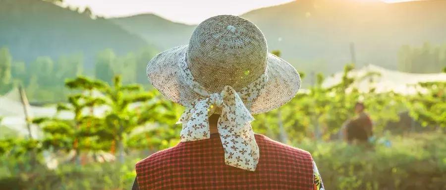 分享赚钱100例,月入1万的100个赚钱项目