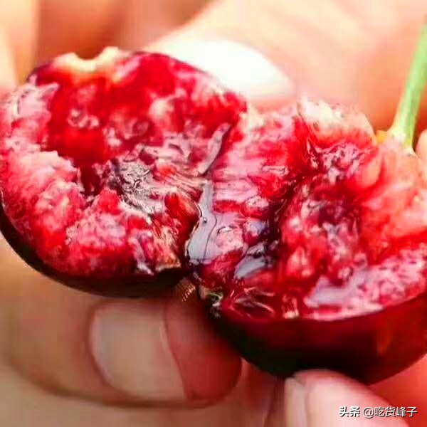 6种寄生虫多的蔬菜,6种食物容易藏有寄生虫