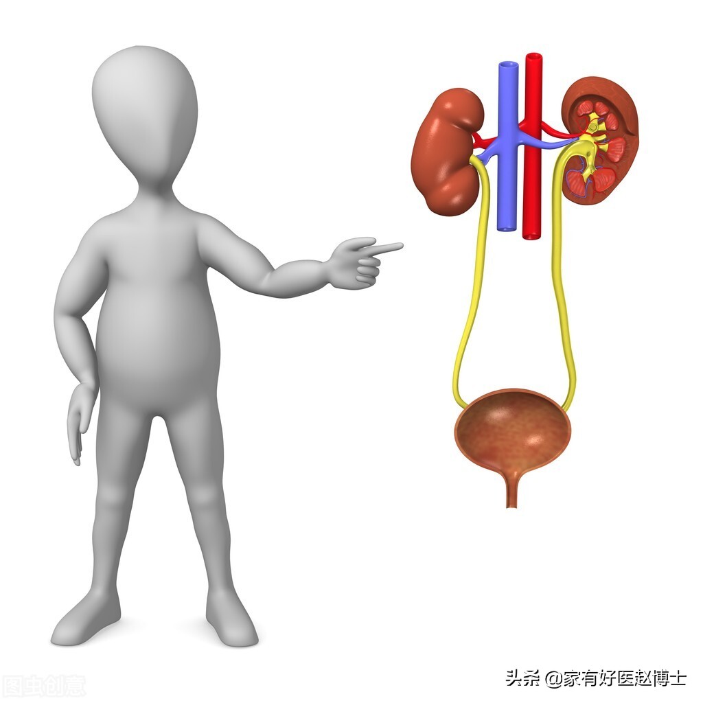 总跑厕所正常吗,总是跑卫生间