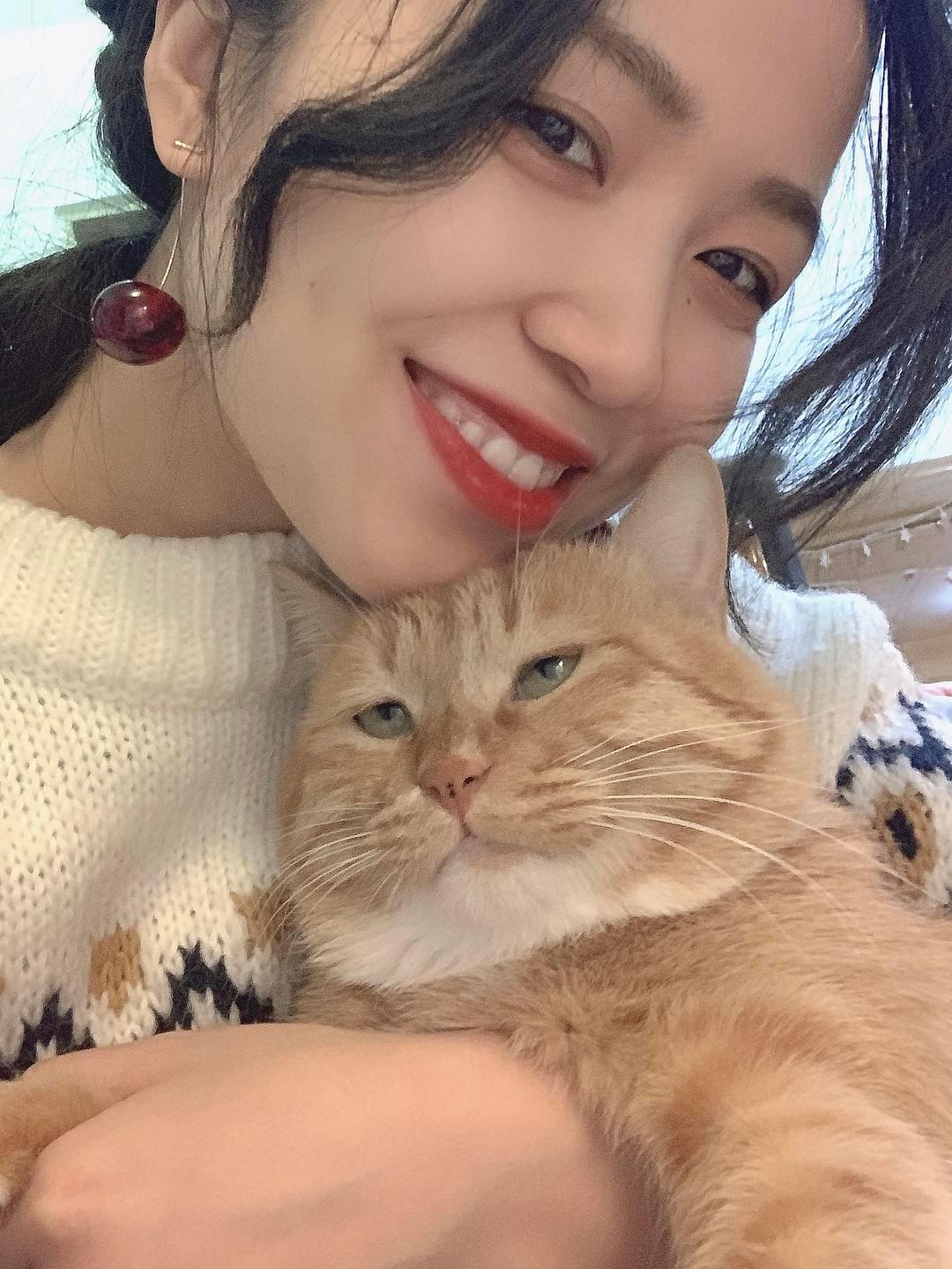 养猫人哭了 (朝九晚五适合养猫吗)