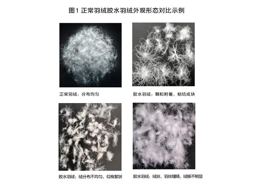 充绒量500以上的羽绒服测评,保暖羽绒服官方测试