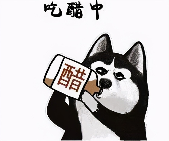 狗狗吃醋推开小主人,狗狗见主人抱猫咪吃醋