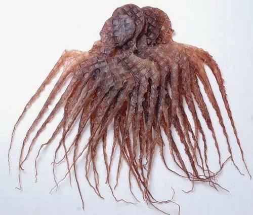 干货大全图,干货大全电子版