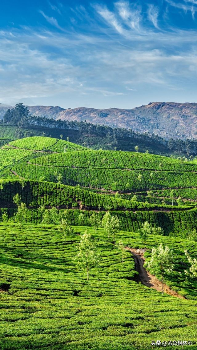 请友对；往日相思今日了