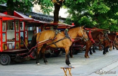 曲阜三孔游玩带点什么,曲阜三孔游玩必备