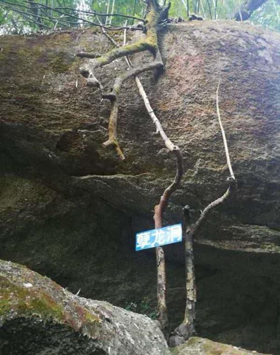 江湖路的风景视频,江湖路上走走停停