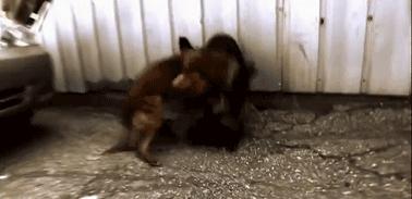 人类凭空消失去哪了,2027年人类会不会消失