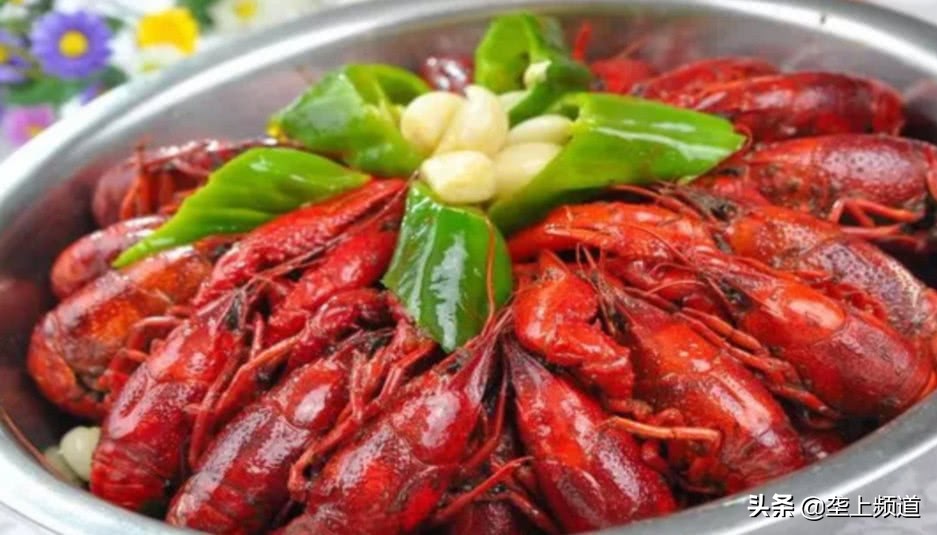 小龙虾如何暂养死亡率低,小龙虾不打洞能养殖