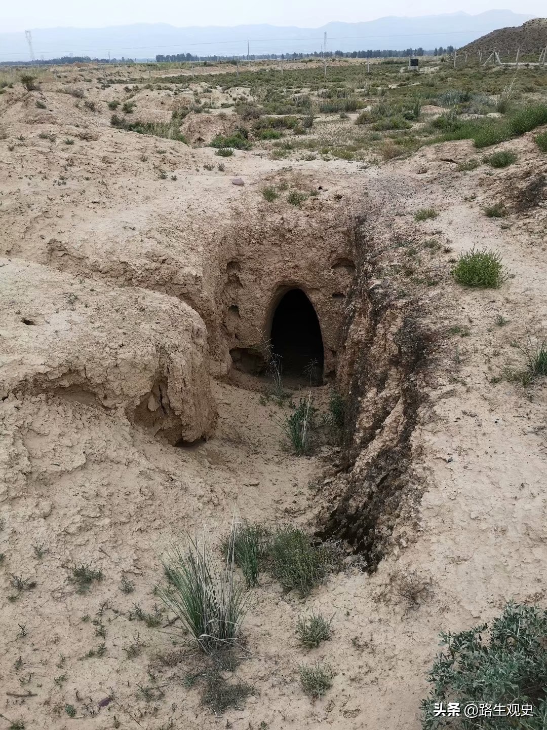 培黎学校是干什么的,培黎学校怎样