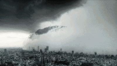 最近几天点赞最高的短视频,全国点赞最高的10个视频