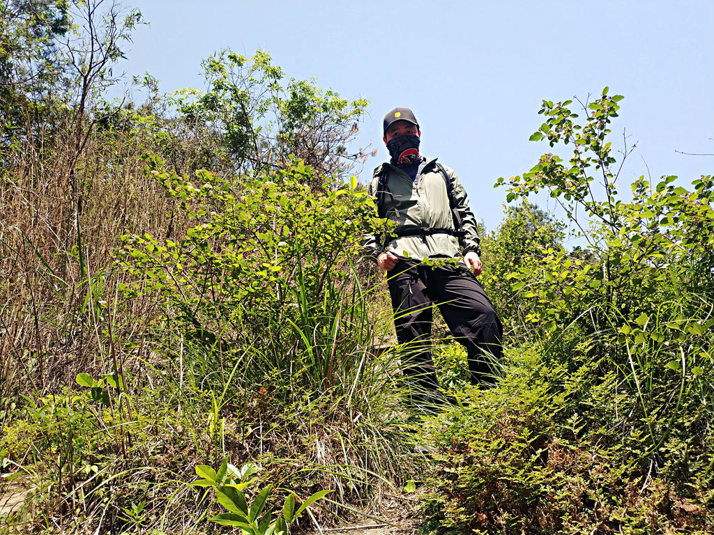 再次刷新了我的认知,再次刷新我对世界的认知