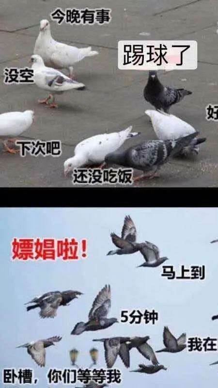 业余足球唯有足球不可辜负,足球不仅仅是足球更是热爱与信仰