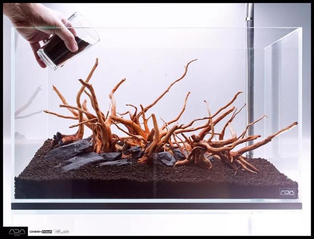 ada风格造景用什么底砂,鱼缸造景ada风格