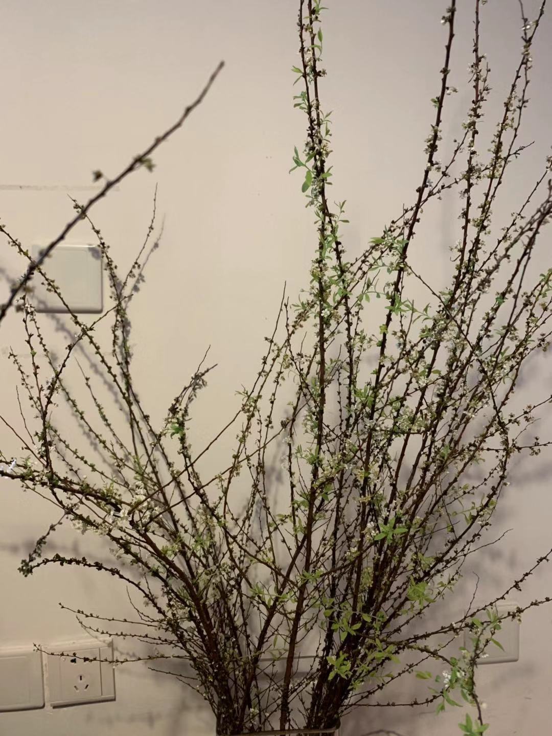 开着福特福克斯去旅游,全新福克斯旅行