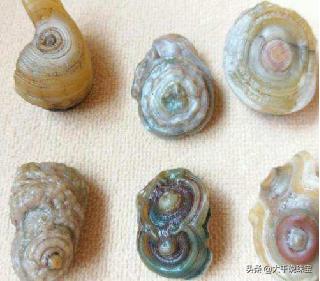 捡块石头1个亿奇石收藏多疯狂,戈壁滩上捡的玛瑙原石图片