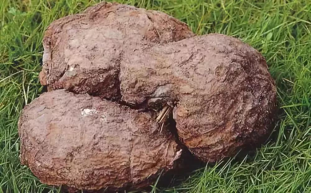 中药学利水渗湿讲解视频,利水渗湿药讲解视频