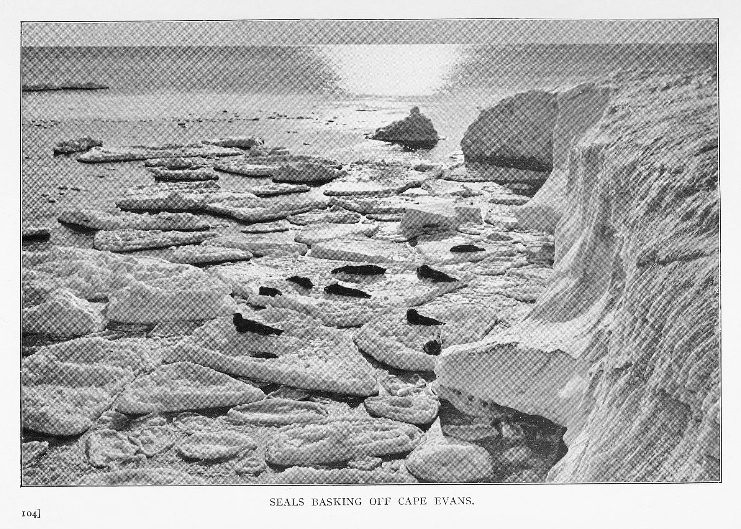 苹果手机的拍照技术,苹果手机有哪些拍照技术