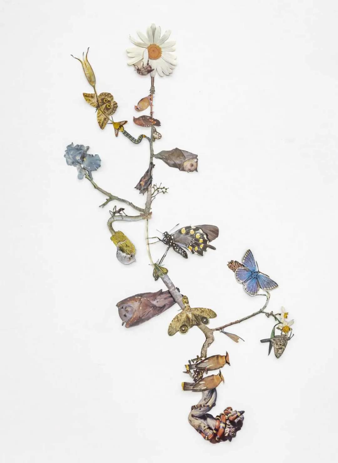 叹为观纸折纸作品,最近超火的纸手工