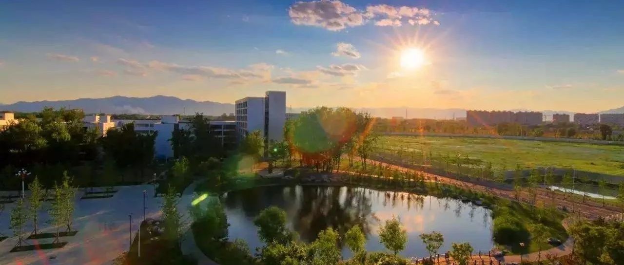 菏泽三个项目规划公示,山东省第四批乡村振兴项目菏泽