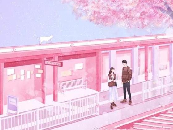 4本高质量的小说推荐,4本高质量小说