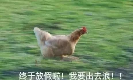 机票白菜价,五一青岛去哪里机票最便宜