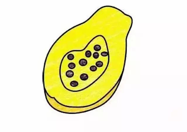100种水果简笔画图片大全大图,儿童简笔画入门水果0-3岁