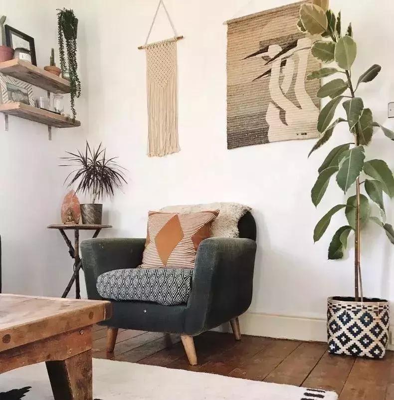 绿色具有代表性的植物,绿色植物好看的有哪些