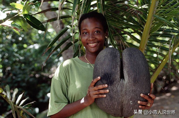 美丽的塞舌尔是个怎样的非洲国家