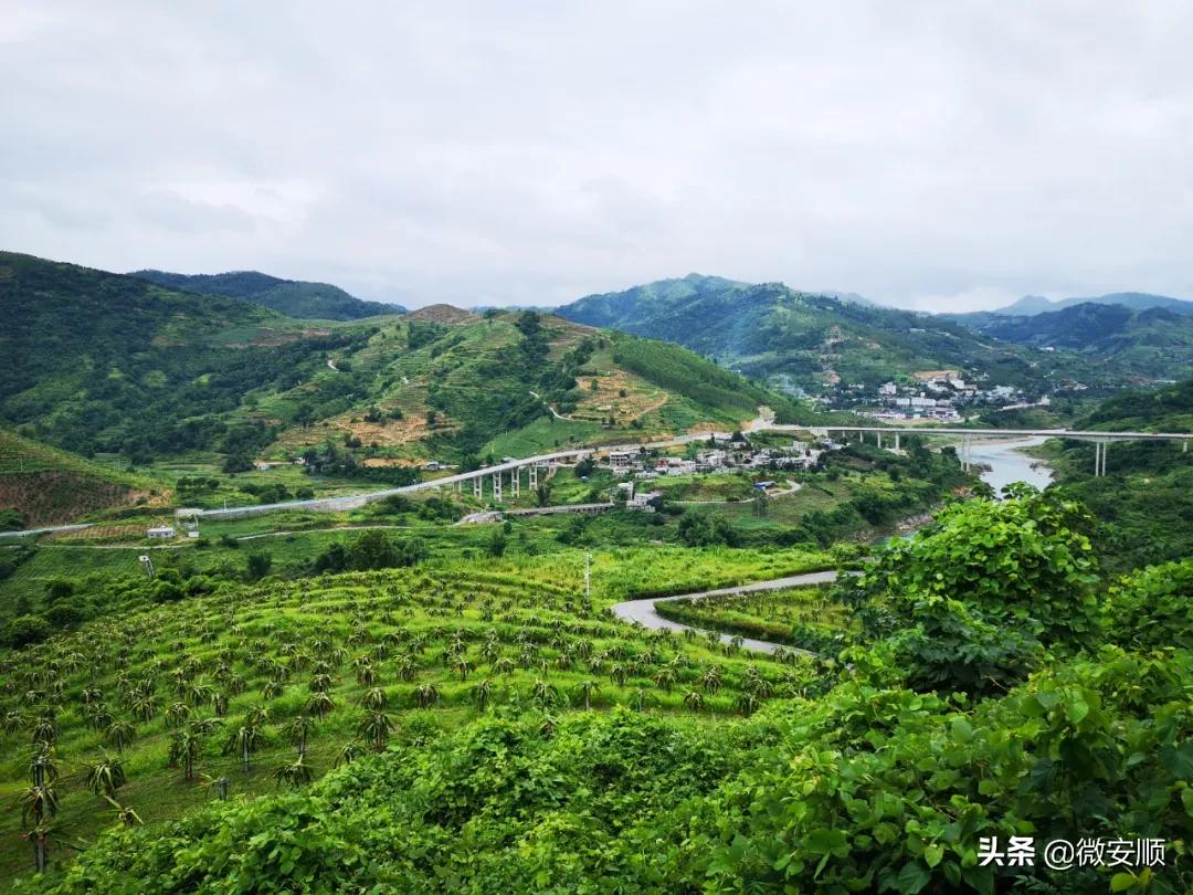 【农民日报推出《特困片区脱贫记》系列报告文学⑨】开在石头上的花