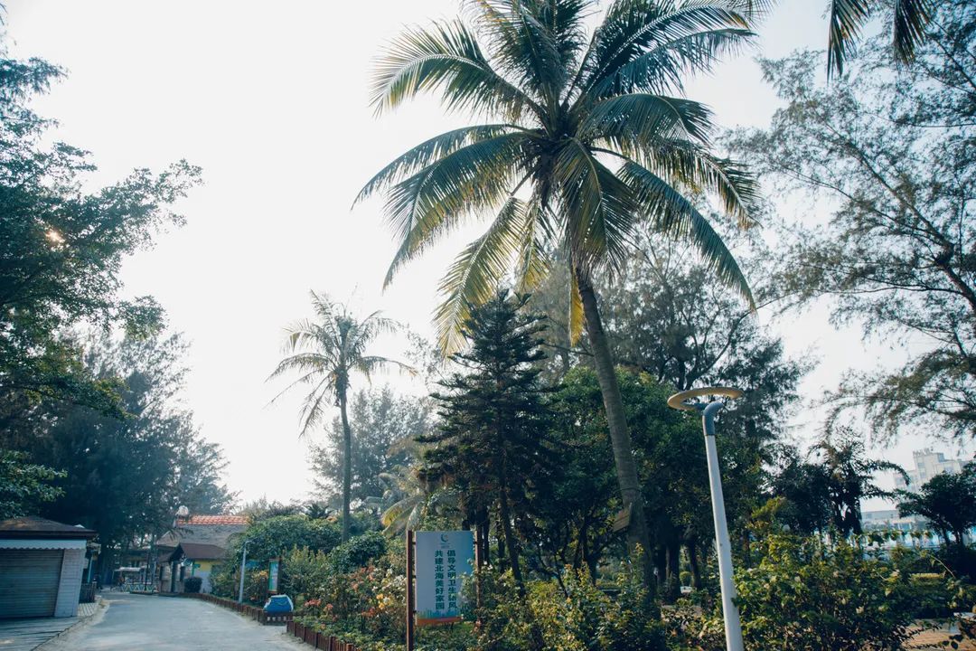 银海风景,银海美景