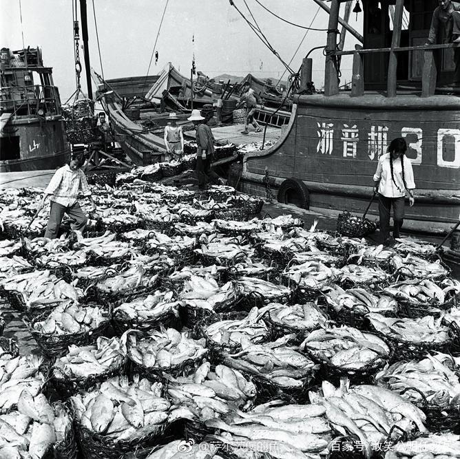 大黄鱼这么贵是因为营养更高吗,野生大黄鱼的五个不一样