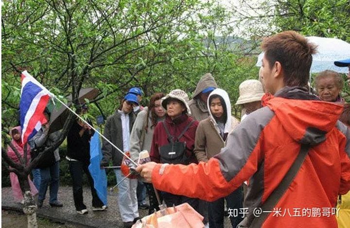 哪些职业对身高和形象要求高,身高要求180以上的职业
