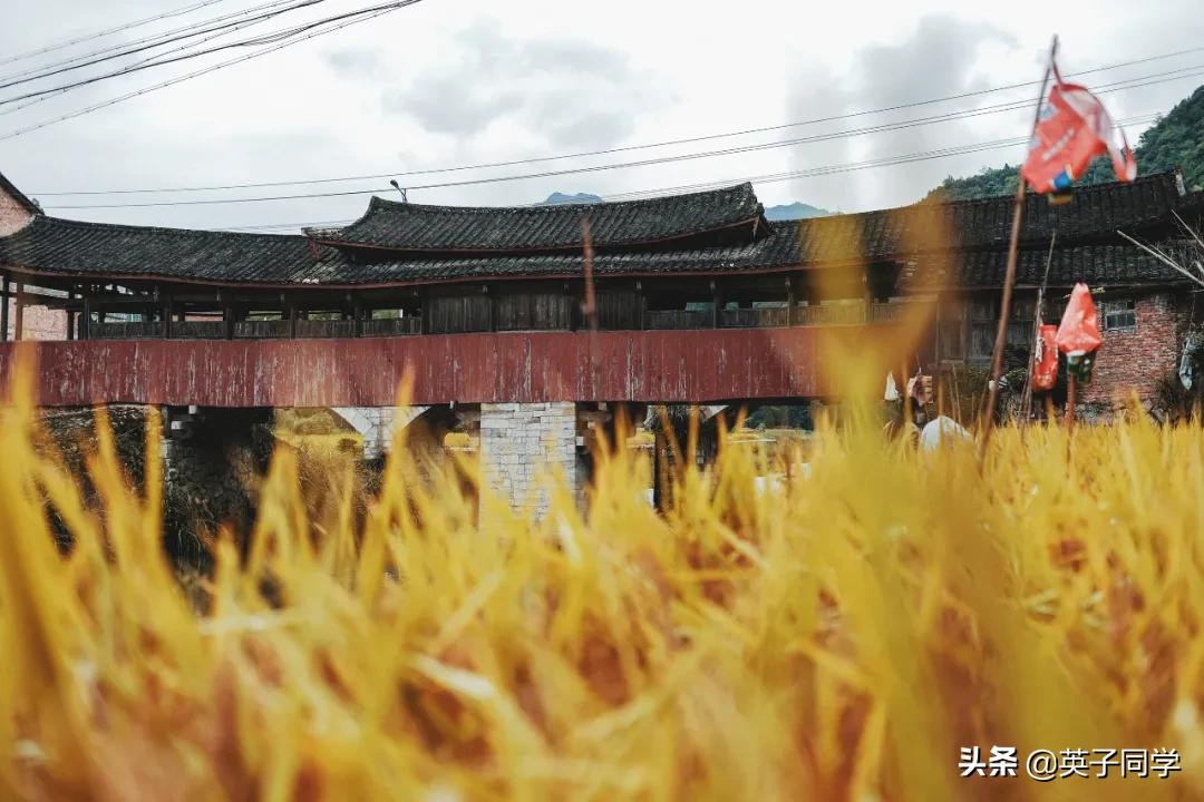 泰顺最美廊桥,泰顺历史三千年廊桥