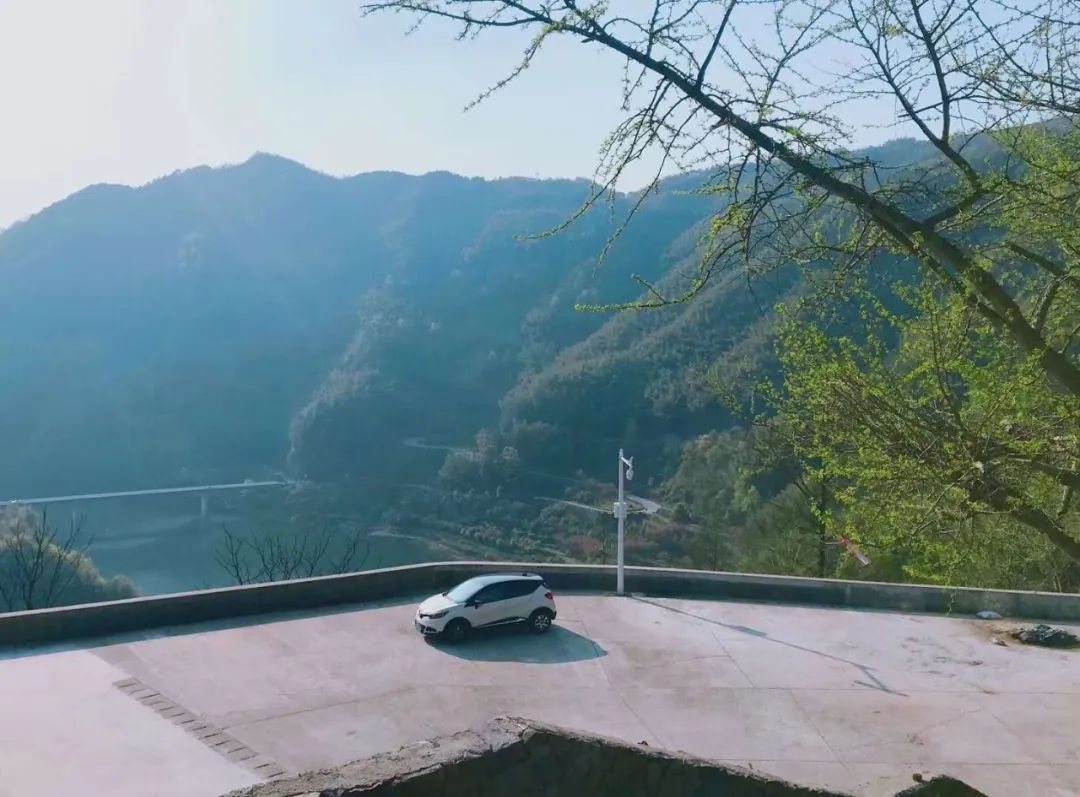 东风雷诺有什么问题,东风雷诺为什么可以独善其身