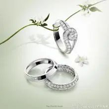 vancleefarpels梵克雅宝日月星辰手表,vancleefarpels梵克雅宝四叶草白色