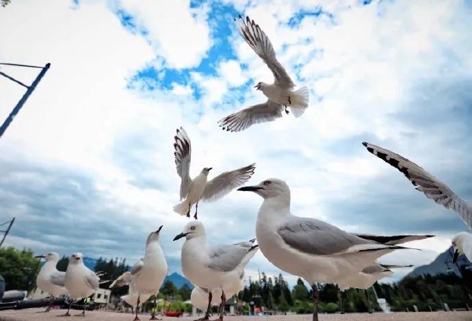 这些年带孩子去过的地方,这些年带小孩去过的地方