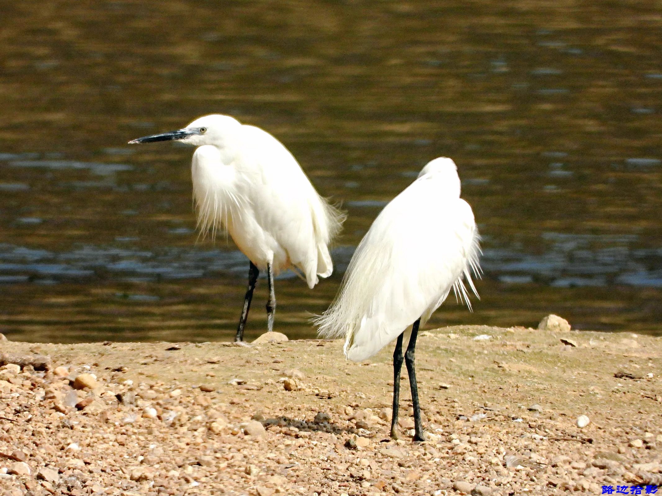 广州莲花山游记,广州莲花山风景