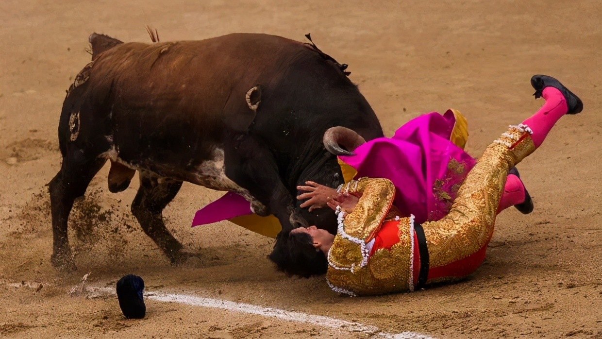 你在为谁吃饭？4第二基因组与行为改变—猫怕老鼠，老虎爱上羊
