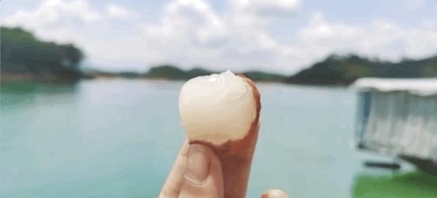 6月有钱没钱,这5颗水果都要买,饭前或饭后吃点,清爽美味营养多